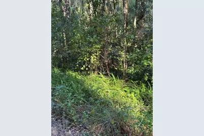 Tbd SW 18th Place, Ocala, FL 34481 - Photo 1