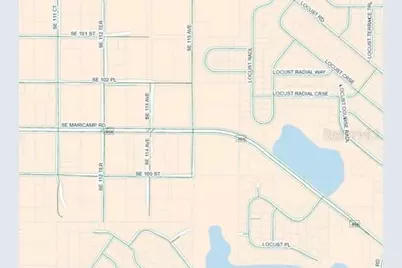 Locust Terrace Run, Ocala, FL 34472 - Photo 3