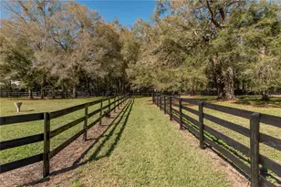 1631 NE 165th St, Citra, FL 32113 - Photo 41