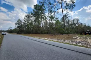 Tbd SW 32 Circle, Ocala, FL 34473 - Photo 1
