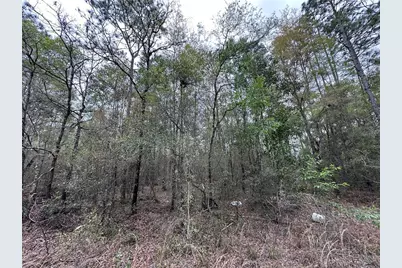 Tbd NE 154th Avenue, Williston, FL 32696 - Photo 3