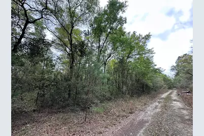 Tbd NE 154th Avenue, Williston, FL 32696 - Photo 3