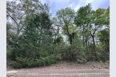 Tbd NE 154th Avenue, Williston, FL 32696 - Photo 1