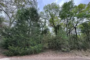 Tbd NE 154th Ave, Williston, FL 32696 - Photo 1