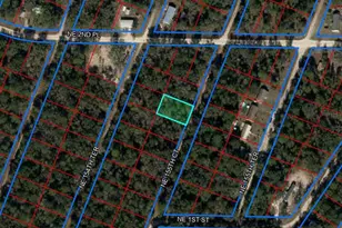 176 NE 155th Ct, Williston, FL 32696 - Photo 1