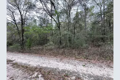 176 NE 155th Court, Williston, FL 32696 - Photo 5