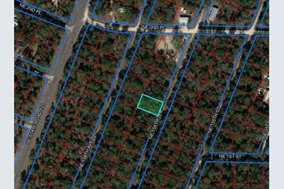 Tbd NE 154th Terrace, Williston, FL 32696 - Photo 3