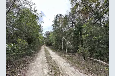 Tbd NE 154th Terrace, Williston, FL 32696 - Photo 3