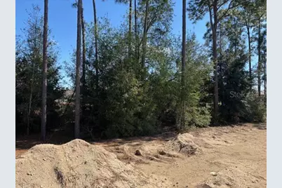 7649 SW 180th Circle, Dunnellon, FL 34432 - Photo 5