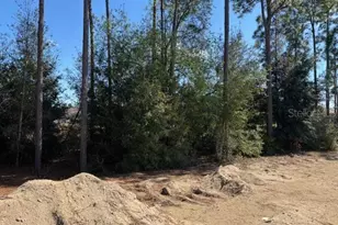 7649 SW 180th Cir, Dunnellon, FL 34432 - Photo 5