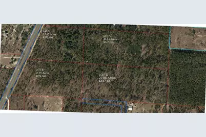 Se State Road 121 Lot A & B, Morriston, FL 32668 - Photo 3