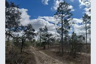 Se State Road 121 Lot A & B, Morriston, FL 32668 - Photo 13