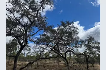 Se State Road 121 Lot A & B, Morriston, FL 32668 - Photo 11