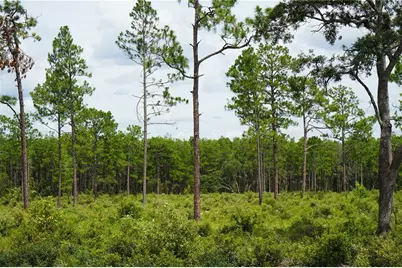 Se State Road 121 Lot A & B, Morriston, FL 32668 - Photo 9