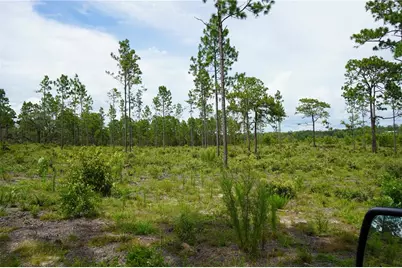Se State Road 121 Lot C & D, Morriston, FL 32668 - Photo 13