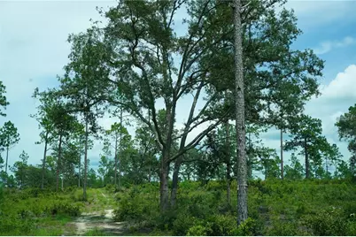 Se State Road 121 Lot C & D, Morriston, FL 32668 - Photo 11