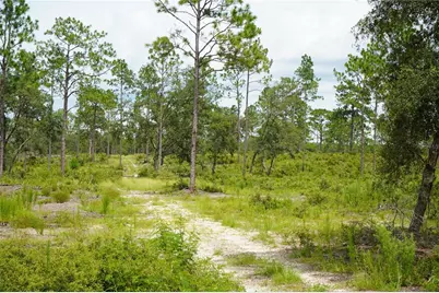 Se State Road 121 Lot C & D, Morriston, FL 32668 - Photo 9