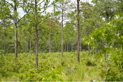 Se State Road 121 Lot C & D, Morriston, FL 32668 - Photo 7