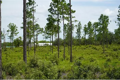 Se State Road 121 Lot C & D, Morriston, FL 32668 - Photo 15