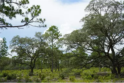 Se State Road 121 Lot C & D, Morriston, FL 32668 - Photo 17