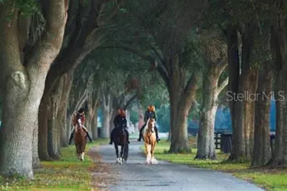 0 SE 116th Place Road, Ocala, FL 34480 - Photo 3