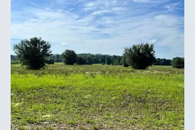 0 SE 116th Place Road, Ocala, FL 34480 - Photo 7