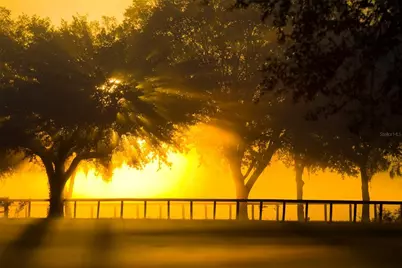 0 SE 116th Place Road, Ocala, FL 34480 - Photo 5