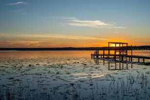 14540 NE 250th Ave, Fort Mc Coy, FL 32134 - Photo 29