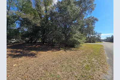 8467 N Empire Avenue, Citrus Springs, FL 34433 - Photo 3