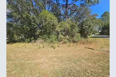 8467 N Empire Avenue, Citrus Springs, FL 34433 - Photo 5