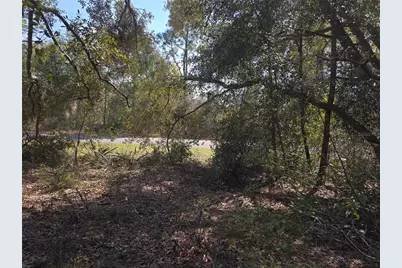 8467 N Empire Avenue, Citrus Springs, FL 34433 - Photo 7