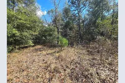 8365 N Ibsen Drive, Citrus Springs, FL 34433 - Photo 9