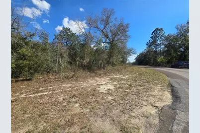 8365 N Ibsen Drive, Citrus Springs, FL 34433 - Photo 3