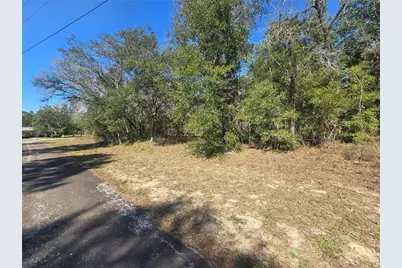 8365 N Ibsen Drive, Citrus Springs, FL 34433 - Photo 1