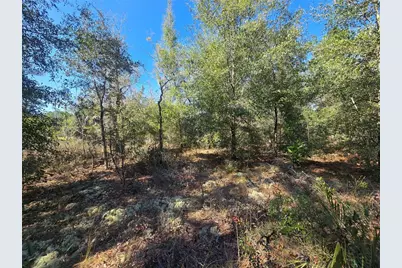 8365 N Ibsen Drive, Citrus Springs, FL 34433 - Photo 7