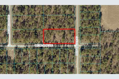 Tbd NW Buena Vista Road, Dunnellon, FL 34431 - Photo 1