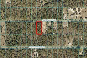 Tbd SW Nautilus Blvd, Dunnellon, FL 34431 - Photo 1