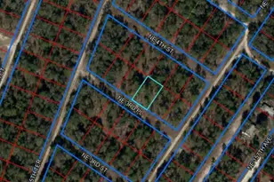 NE 3rd Pl, Williston, FL 32696 - Photo 1