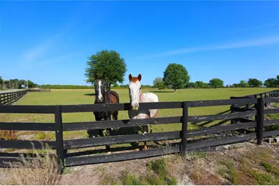 12115 SE Sunset Harbor Road, Weirsdale, FL 32195 - Photo 27