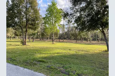 12115 SE Sunset Harbor Road, Weirsdale, FL 32195 - Photo 29
