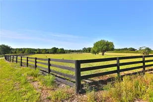 12115 SE Sunset Harbor Rd, Weirsdale, FL 32195 - Photo 25
