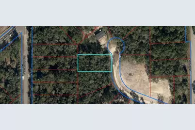 155 Palm Drive, Bronson, FL 32621 - Photo 1