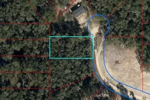 155 Palm Dr, Bronson, FL 32621 - Photo 1