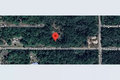 324 Redwood Boulevard, Georgetown, FL 32139 - Photo 1