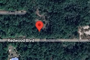 324 Redwood Blvd, Georgetown, FL 32139 - Photo 1