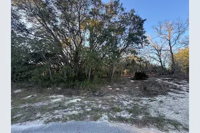 0 SW 147th Street Road, Ocala, FL 34473 - Photo 3