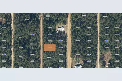Lot 7 Norman Avenue, Interlachen, FL 32148 - Photo 1