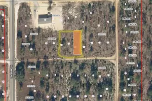 Tbd Chestnut Trail, Interlachen, FL 32148 - Photo 1