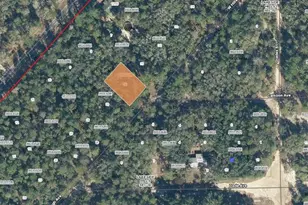 118 W Hillsborough Ave, Florahome, FL 32140 - Photo 1