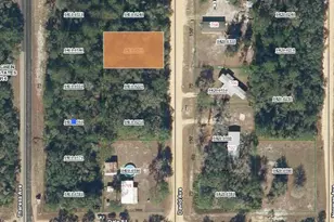 00 David Ave, Interlachen, FL 32148 - Photo 1